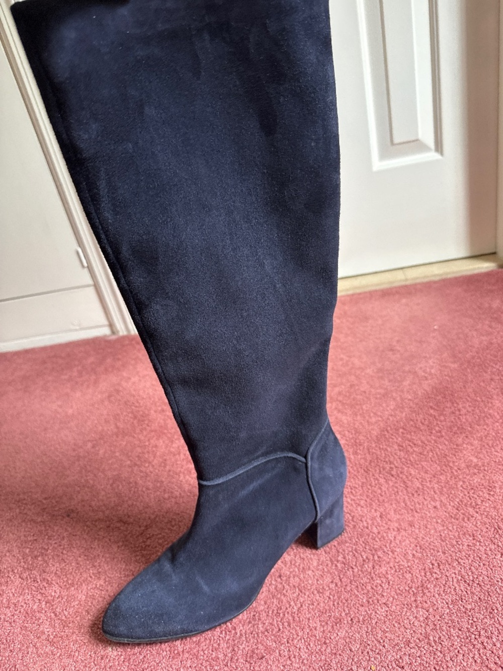 Aquatalia Blue Suede Boots